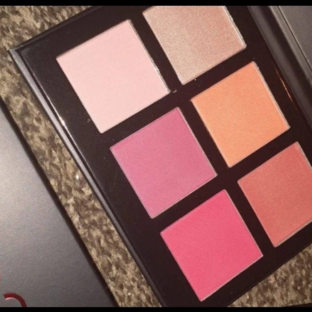 Go2 blush & highlight palette (BNIB)